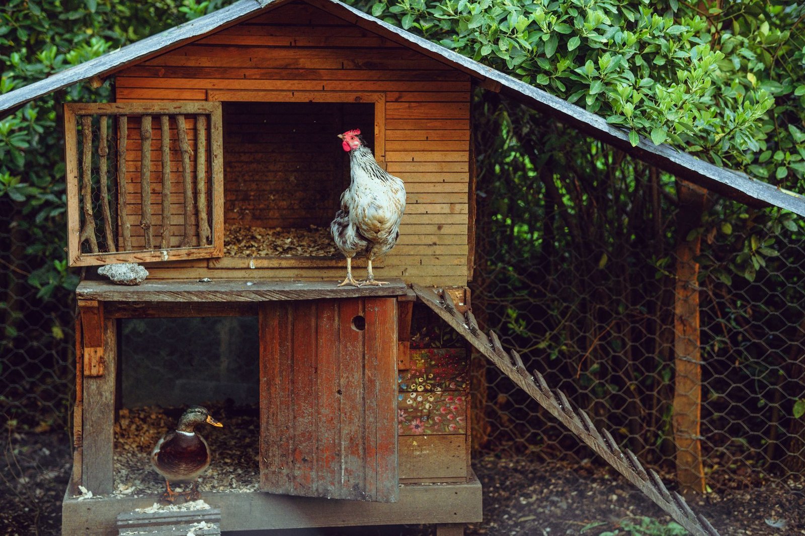 best nesting boxes